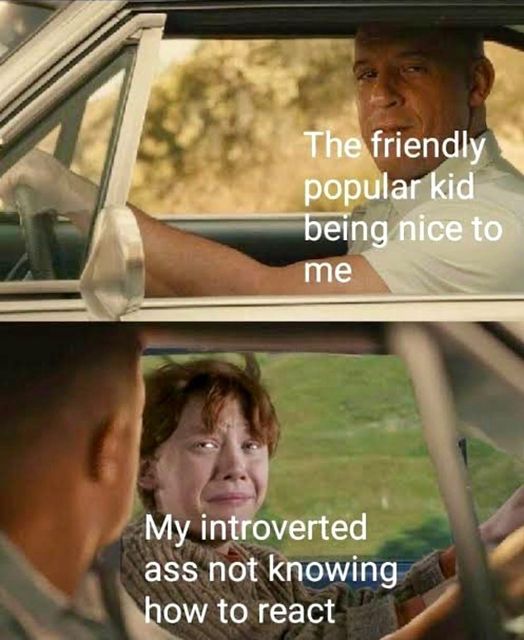 ron weasley meme - The friendly popular kid being nice to me My introverted ass not knowing how to react