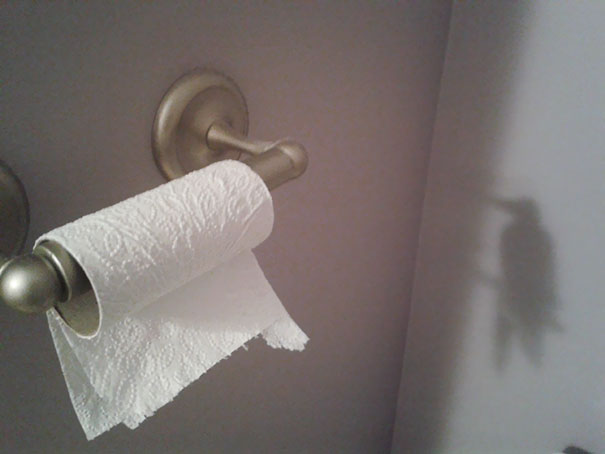 29 Incredible Shadows That Will Make You Look Twice!