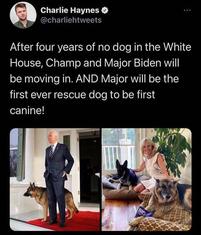 Joe Biden - Charlie Haynes After four years of no dog in the White House, Champ and Major Biden will be moving in. And Major will be the first ever rescue dog to be first canine! Bid