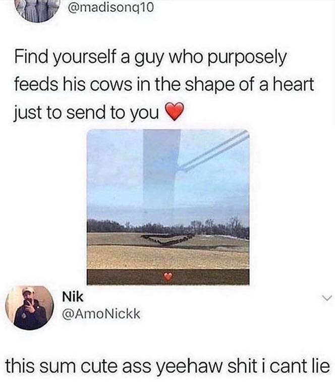 find you a man that feeds you - Find yourself a guy who purposely feeds his cows in the shape of a heart just to send to you L Nik this sum cute ass yeehaw shit i cant lie
