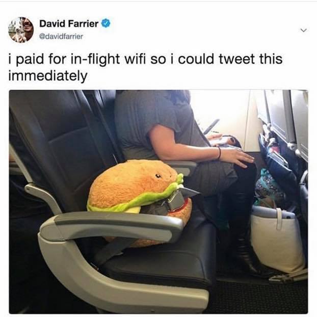 hamburger in airplane seat - David Farrier i paid for inflight wifi so i could tweet this immediately