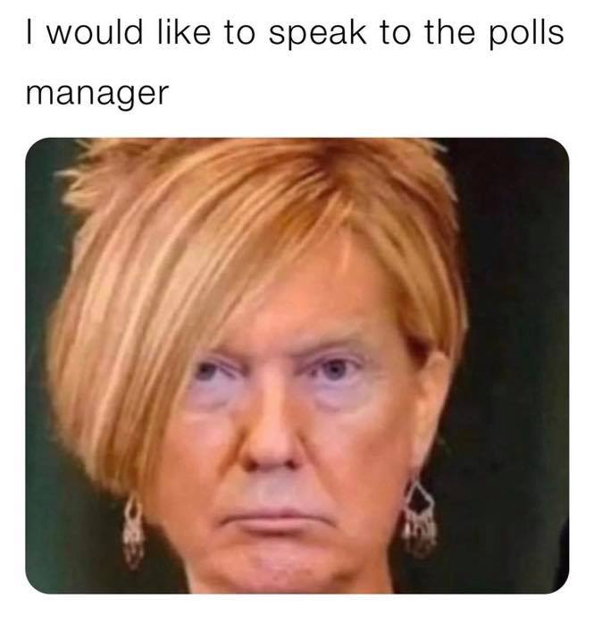 counting ballots meme - I would to speak to the polls manager