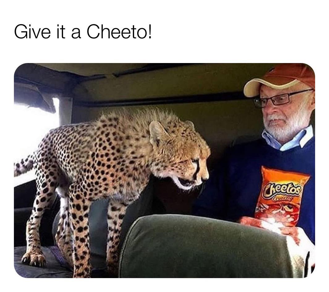 cheetah cheetos - Give it a Cheeto! Cheetos Guy