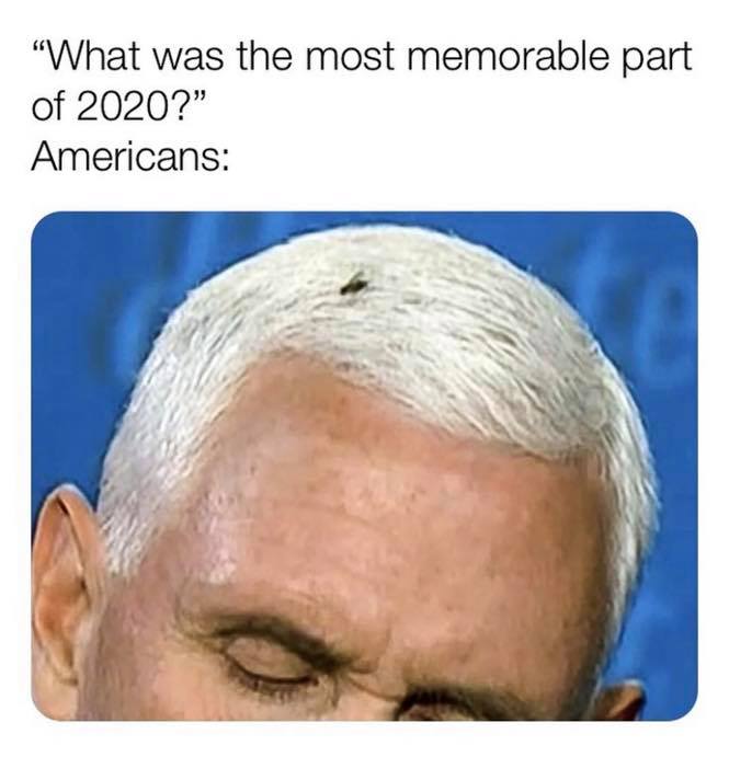 black flies matter - "What was the most memorable part of 2020?" Americans