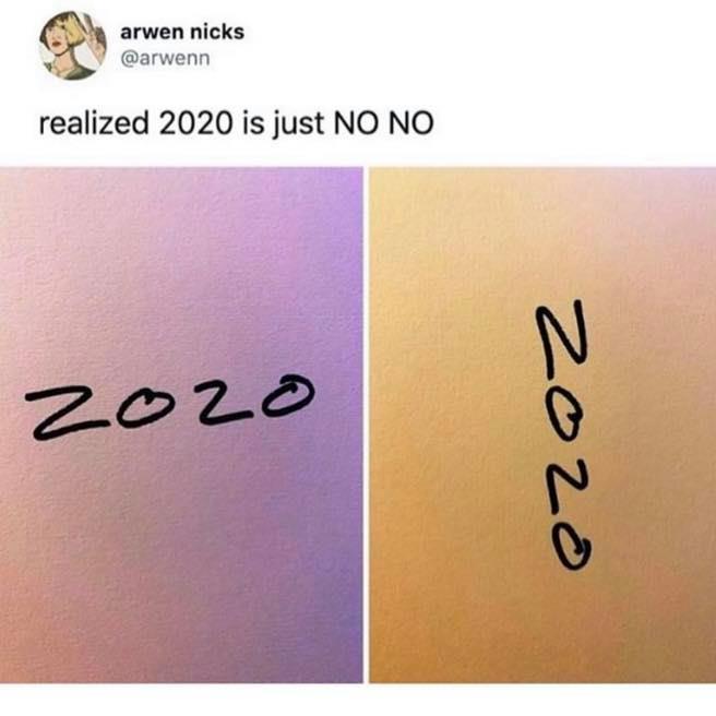 2020 no no meme - arwen nicks realized 2020 is just No No zozo Zozo