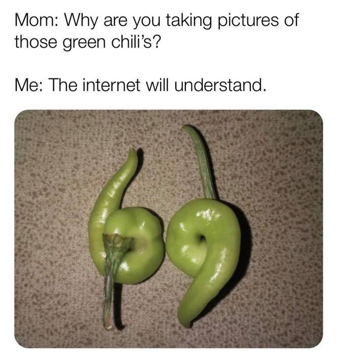 oct 2020 memes - Mom Why are you taking pictures of those green chili's? Me The internet will understand. $9