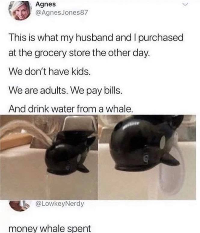 money whale spent - Agnes Jones87 This is what my husband and I purchased at the grocery store the other day. We don't have kids. We are adults. We pay bills. And drink water from a whale. money whale spent
