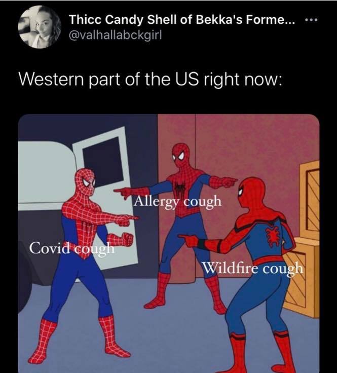 spiderman meme double - Thicc Candy Shell of Bekka's Forme... Western part of the Us right now Allergy cough Covid cough Wildfire cough
