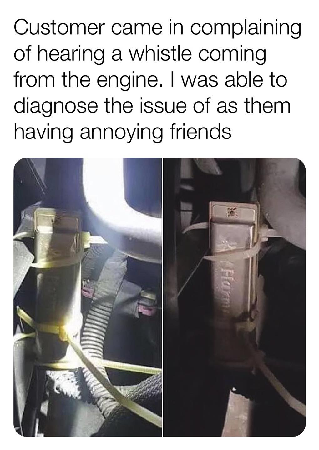 engine whistling meme - Customer came in complaining of hearing a whistle coming from the engine. I was able to diagnose the issue of as them having annoying friends Hamm