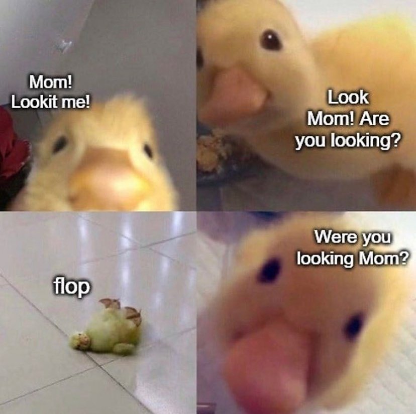 wholesome duck meme - Mom! Lookit me! Look Mom! Are you looking? Were you looking Mom? flop