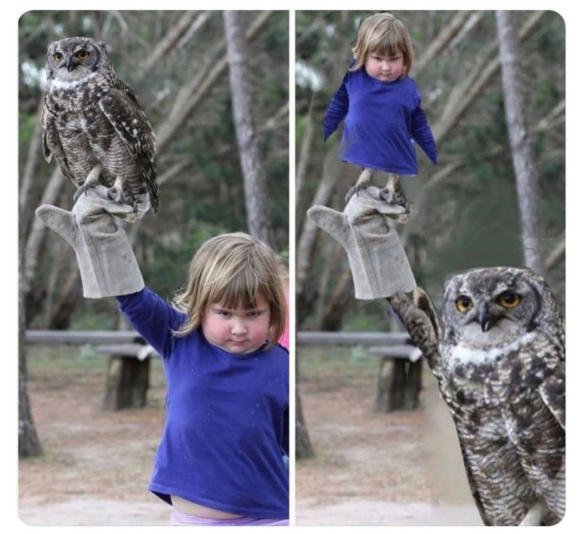 girl holding owl