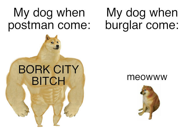 swole doge meme template - My dog when postman come My dog when burglar come Bork City Bitch meowww