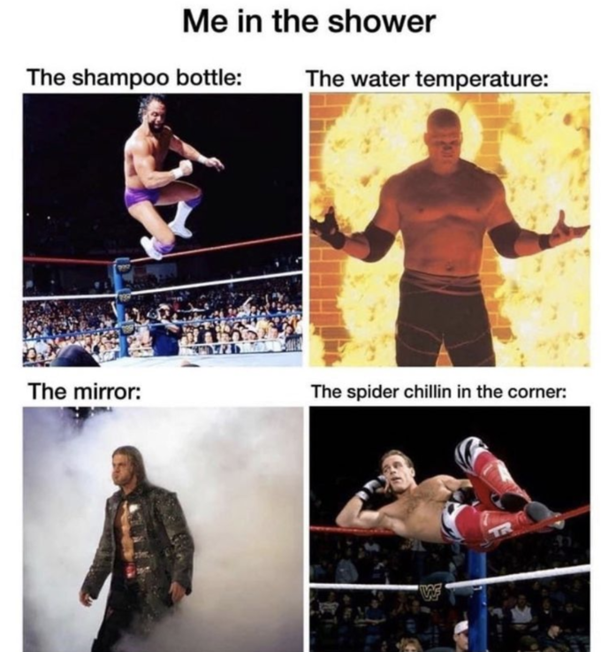 wwe shower meme - Me in the shower The shampoo bottle The water temperature The mirror The spider chillin in the corner
