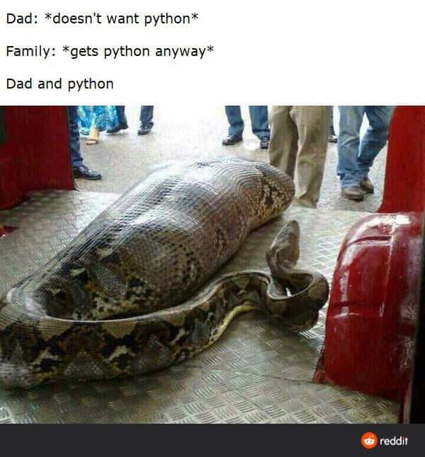 Snake - Dad doesn't want python Family gets python anyway Dad and python reddit