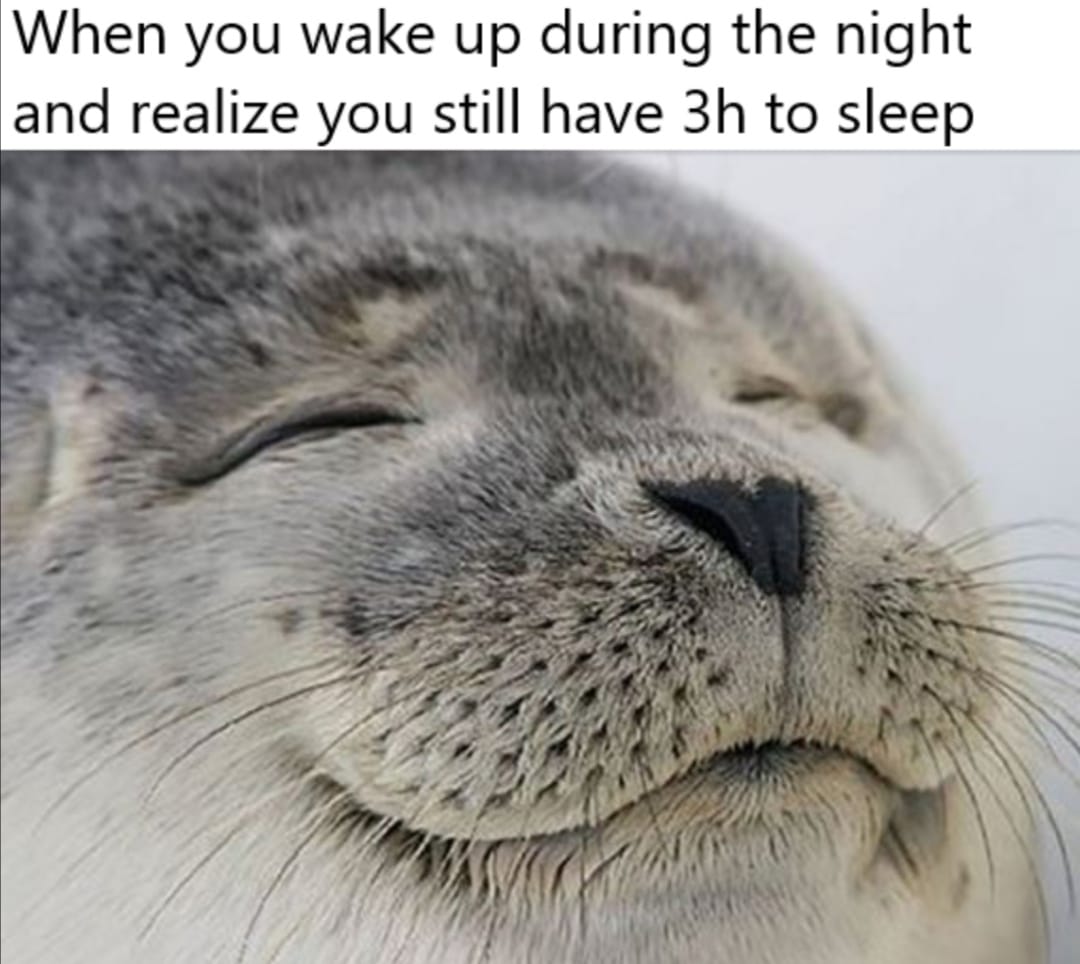 wholesome seal memes - When you wake up during the night and realize you still have 3h to sleep