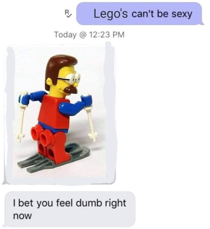 stupid sexy flanders lego - R Lego's can't be sexy Today @ I bet you feel dumb right now