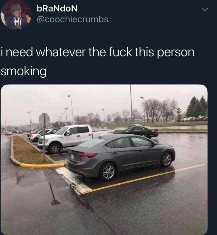 high parking meme - bRaNdoN i need whatever the fuck this person smoking