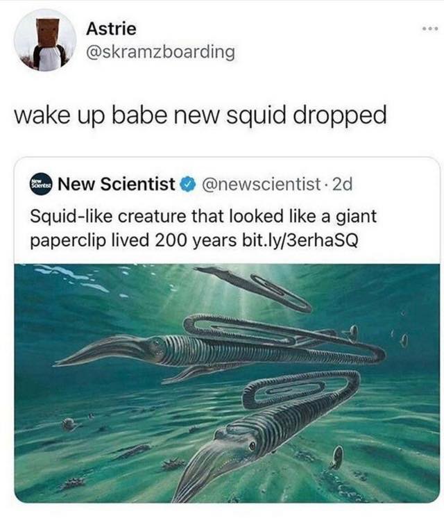 fauna - Astrie wake up babe new squid dropped For New Scientist 2d Squid creature that looked a giant paperclip lived 200 years bit.ly3erhaSQ