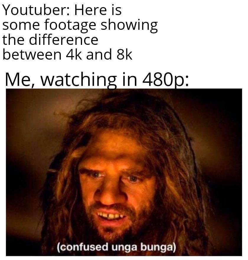 unga bunga ooga booga - Youtuber Here is some footage showing the difference between 4k and 8k Me, watching in 480p confused unga bunga