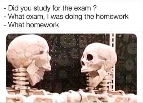 funny clean memes - Did you study for the exam ? What exam, I was doing the homework What homework