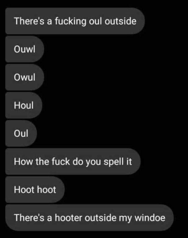 spelling mistake chat meme - There's a fucking oul outside Ouwl Owul Houl Oul How the fuck do you spell it Hoot hoot There's a hooter outside my windoe