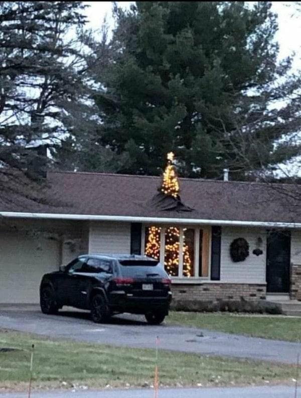 funny christmas trees