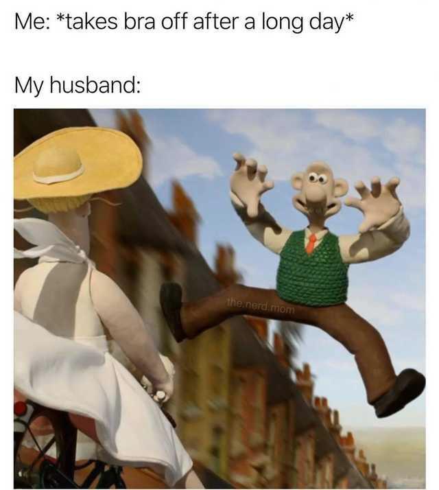 wallace and gromit bra meme - Me takes bra off after a long day My husband the nerd mom
