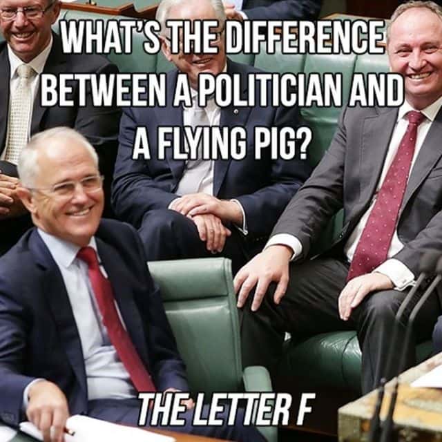 politician meme - What'S The Difference Between A Politician And A Flying Pig? The Letter F