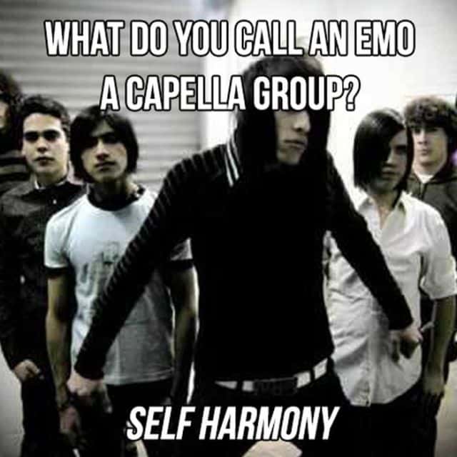 social group - What Do You Call An Emo A Capella Group? Self Harmony