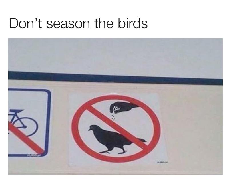 no salt on pigeons - Don't season the birds