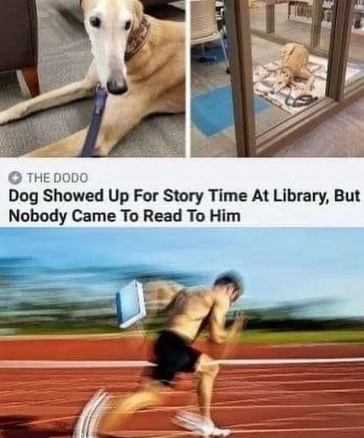 today memes - The Dodo Dog Showed Up For Story Time At Library, But Nobody Came To Read To Him
