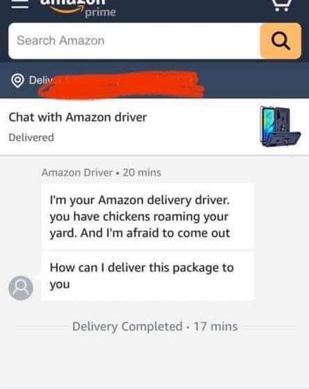 web page - prime Search Amazon a Deliv Chat with Amazon driver Delivered Amazon Driver 20 mins I'm your Amazon delivery driver. you have chickens roaming your yard. And I'm afraid to come out How can I deliver this package to you 9 Delivery Completed. 17 