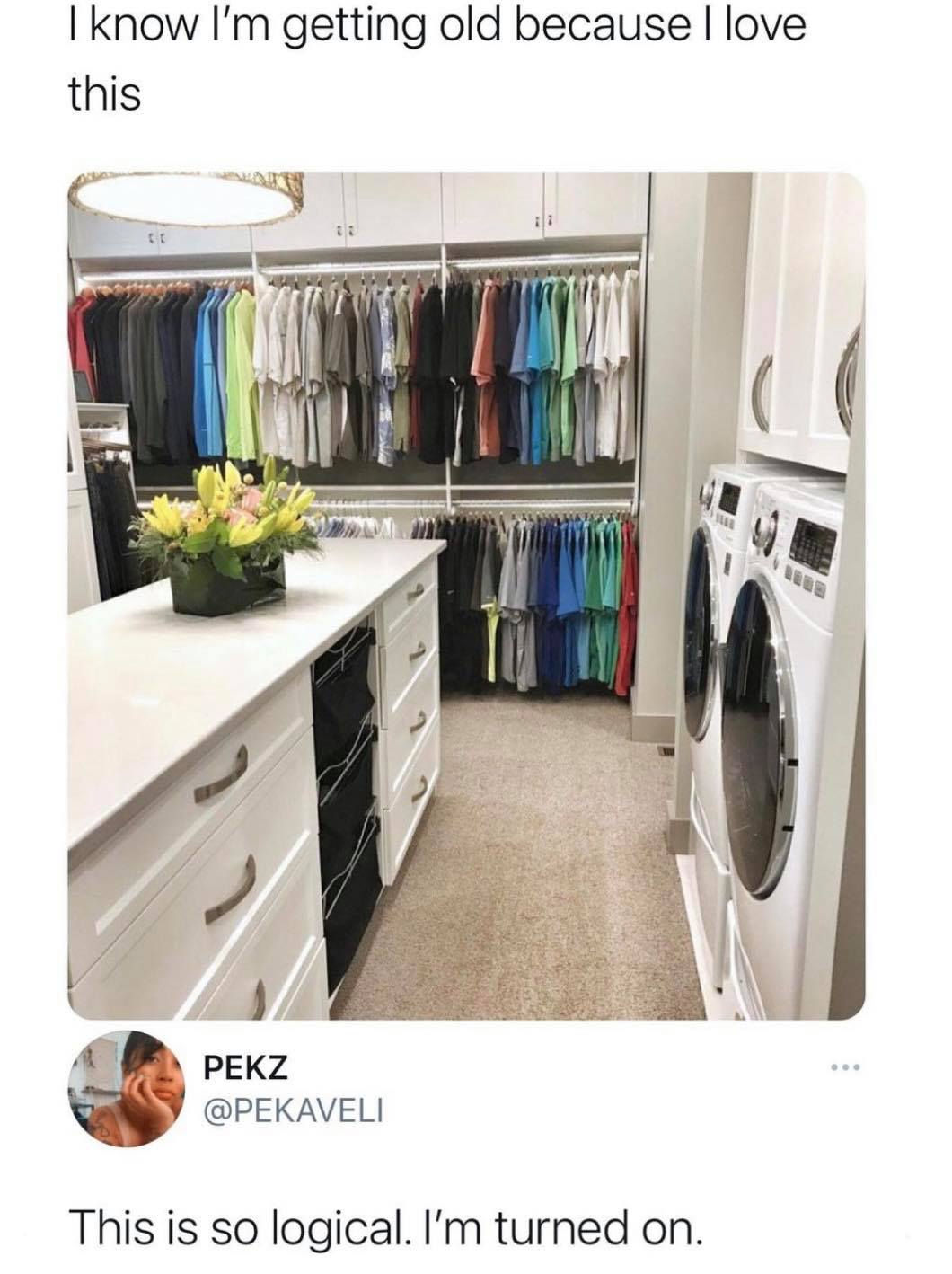 laundry in master closet - I know I'm getting old because I love this Pekz This is so logical. I'm turned on.