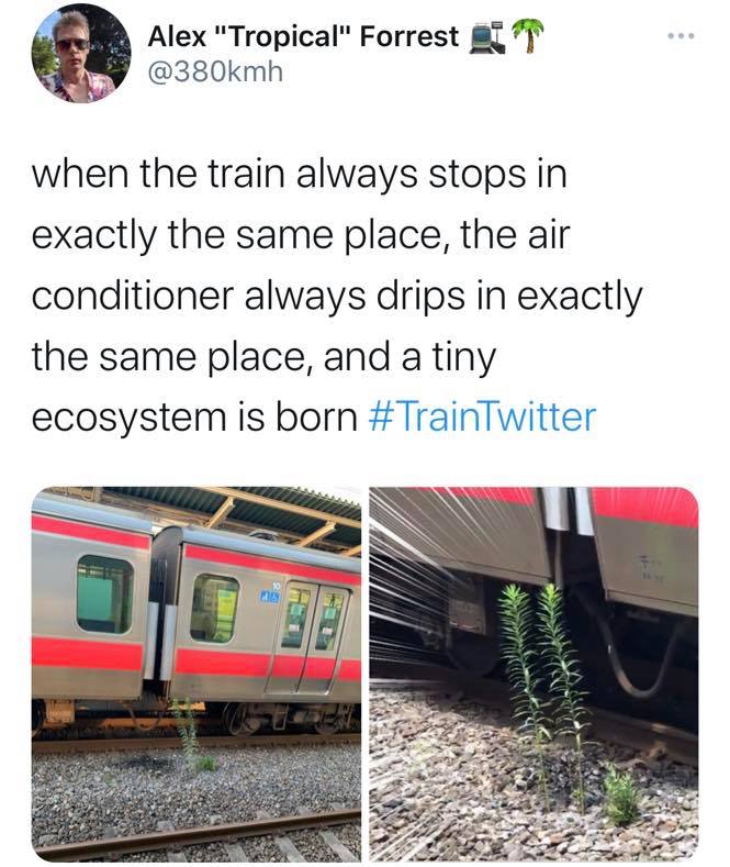 Alex "Tropical" Forrest T when the train always stops in exactly the same place, the air conditioner always drips in exactly the same place, and a tiny ecosystem is born Ho