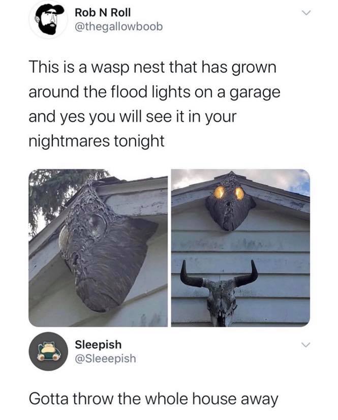 wasp nest headlights - Rob N Roll This is a wasp nest that has grown around the flood lights on a garage and yes you will see it in your nightmares tonight Sleepish Gotta throw the whole house away