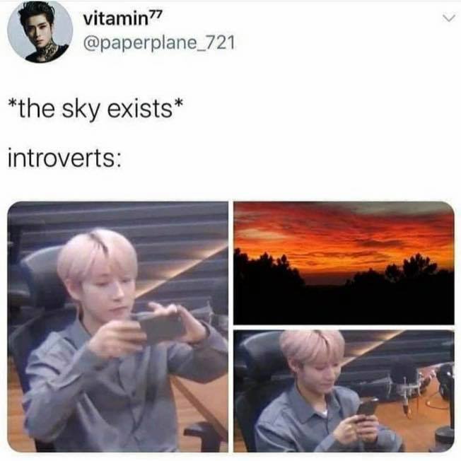 photo caption - L vitamin77 the sky exists introverts