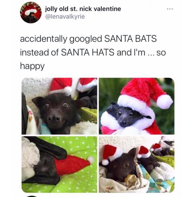 fauna - jolly old st. nick valentine accidentally googled Santa Bats instead of Santa Hats and I'm ... So happy