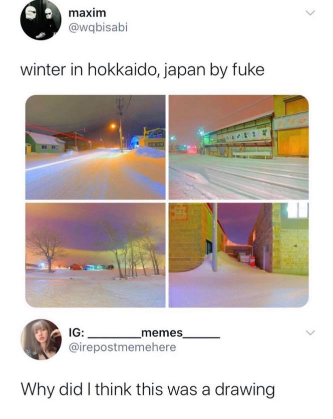 angle - maxim winter in hokkaido, japan by fuke Ig memes Why did I think this was a drawing