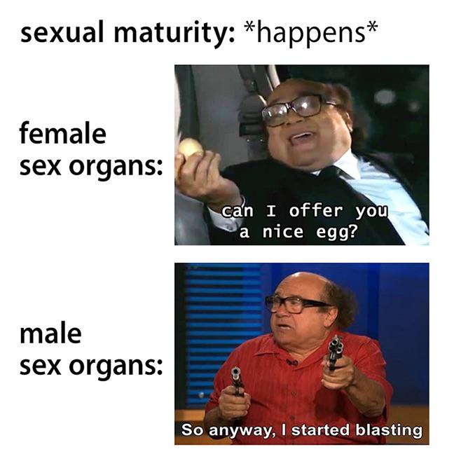 photo caption - sexual maturity happens female sex organs can I offer you a nice egg? male sex organs So anyway, I started blasting