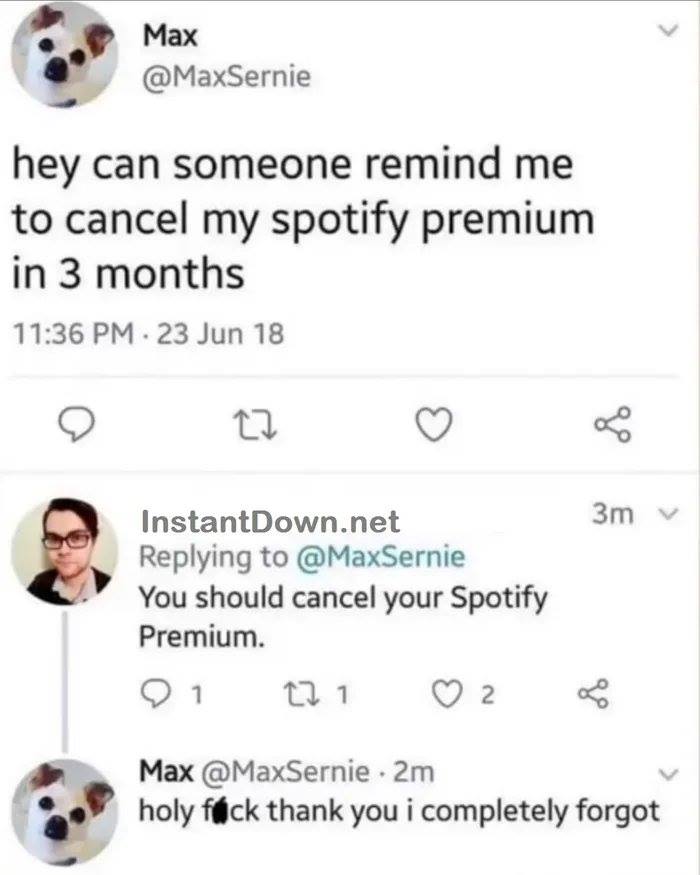 r comedyhomicide - Max hey can someone remind me to cancel my spotify premium in 3 months 23 Jun 18 22 8 3m v InstantDown.net You should cancel your Spotify Premium. 12 1 ol Max . 2m holy fck thank you i completely forgot