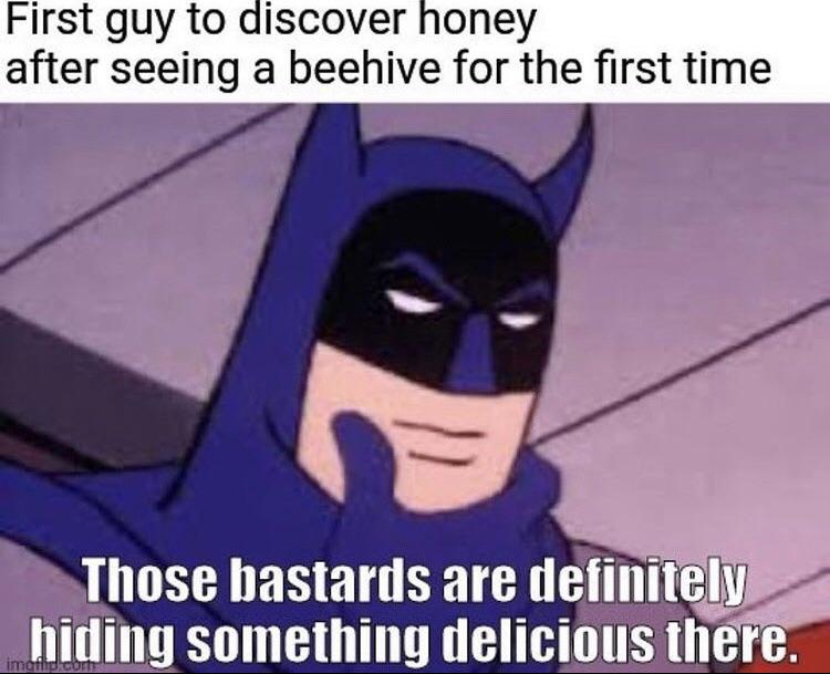 batman interesting meme - First guy to discover honey after seeing a beehive for the first time Those bastards are definitely hiding something delicious there. imefld.com