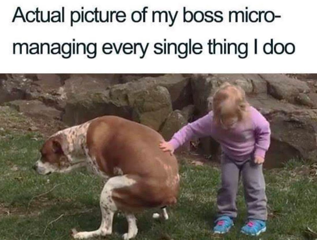 my boss micromanaging me - Actual picture of my boss micro managing every single thing I doo