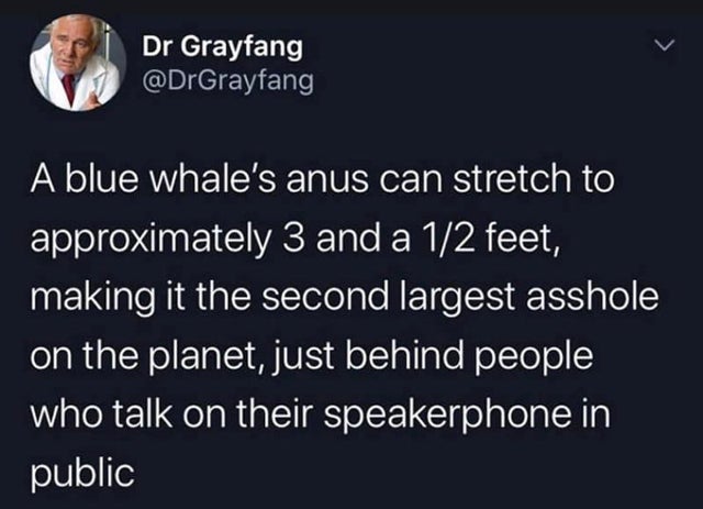 Dr Grayfang A blue whale's anus can stretch to approximately 3 and a 12 feet, making it the second largest asshole on the planet, just behind people who talk on their speakerphone in public