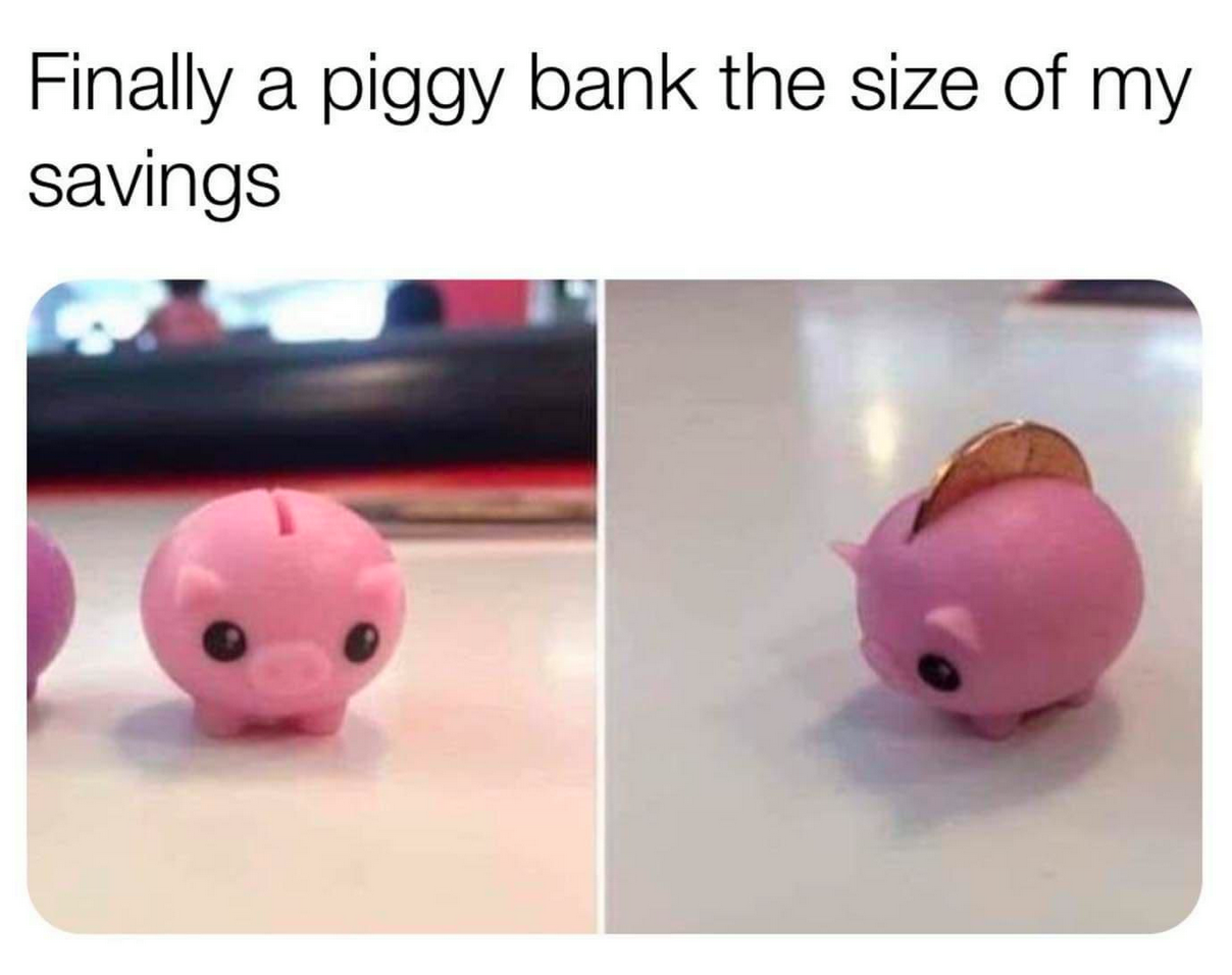 piggy bank the size of my savings - Finally a piggy bank the size of my savings