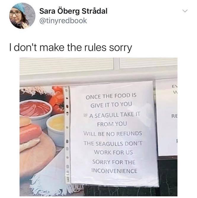 Food - Sara berg Strdal I don't make the rules sorry w Once The Food Is Give It To You If A Seagull Take It From You Re Will Be No Refunds The Seagulls Don'T Work For Us Sorry For The Inconvenience Last