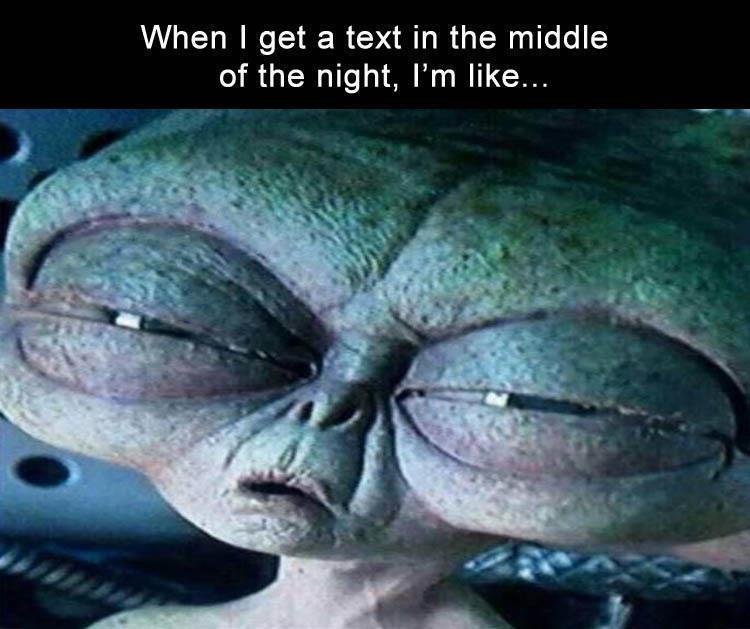 waking up expectation vs reality - When I get a text in the middle of the night, I'm ...