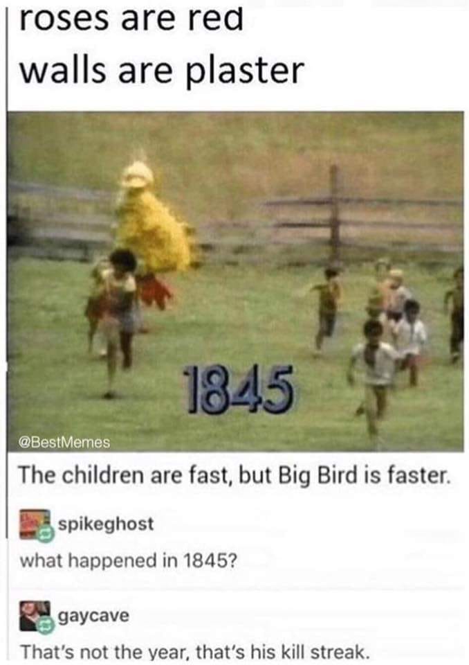 big bird kill streak - roses are red walls are plaster 1845 The children are fast, but Big Bird is faster. spikeghost what happened in 1845? gaycave That's not the year, that's his kill streak.