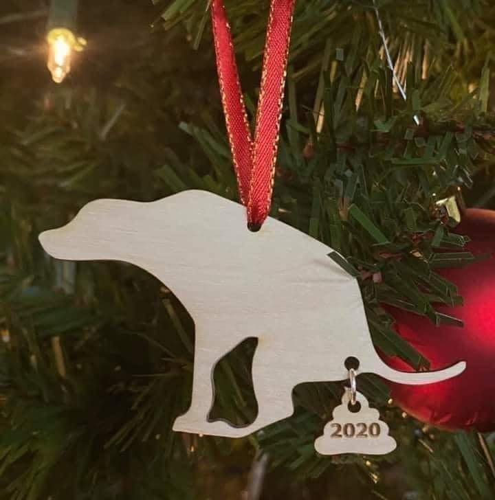 christmas ornament - 2020