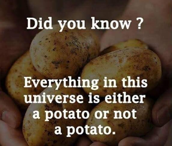yukon gold potato - Did you know? Everything in this universe is either a potato or not a potato.