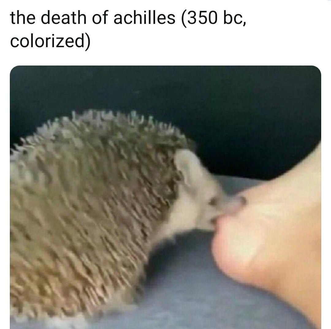 angry hedgehog meme - the death of achilles 350 bc, colorized